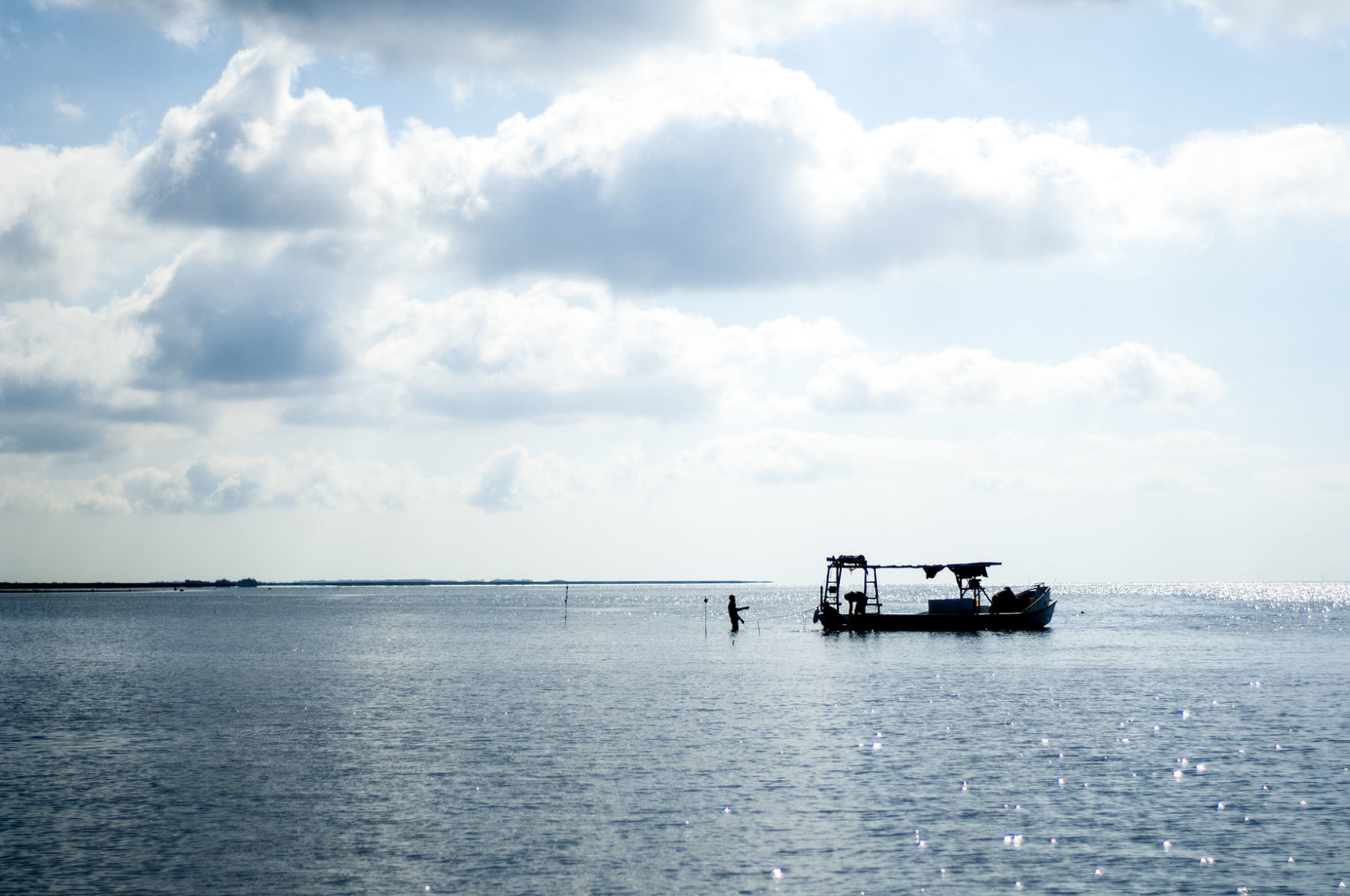 060918_Oysters08.jpg
